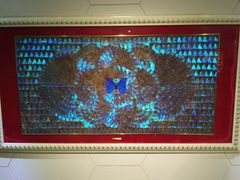 iphone_upload_pic-上海昆虫博物馆