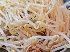 麻辣豆芽-晓军麻辣面馆