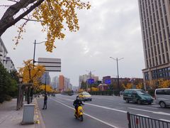 -Punchline Coffee&Roaster(同济大学店)