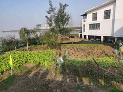 -金银湖国家城市湿地公园