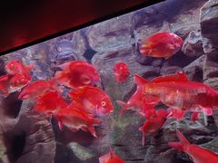 -成都浩海立方海洋公园