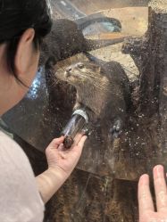 -Zoolung Zoolung动物主题公园(海信广场店)