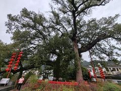 -新安江山水画廊风景区
