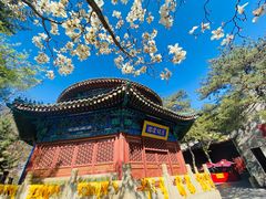 -潭柘寺景区