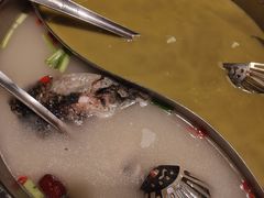 -凤凰山斑鱼馆(恭城店)