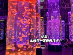 -海合安成都极地海洋公园