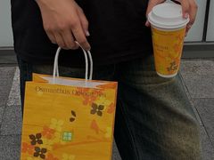 -奈雪的茶(正弘城PRO+店)