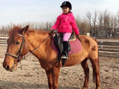 -月河湾马术俱乐部(朝阳店)