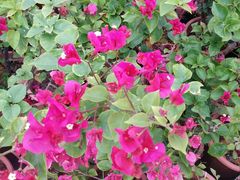 -廊坊文化艺术中心