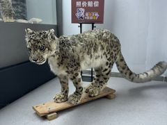 -青藏高原野生动物园