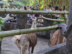 -长鹿旅游休博园