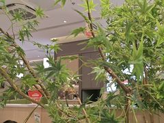 -晋家门·苏皖家常菜(江北龙湖天街店)