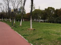 -天鹅湖体育公园