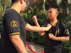 -温鉴良实用咏春拳