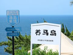 -养马岛旅游度假区