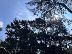 -昆明市金殿名胜区