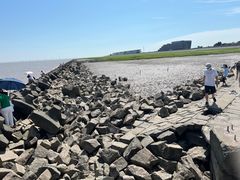 -南汇嘴观海公园