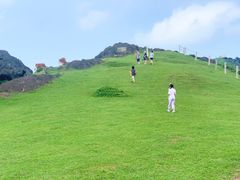 -大姆山草场