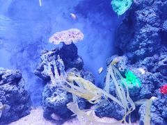 -广州海洋馆