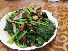 -福利来酒店(泺源大街店)