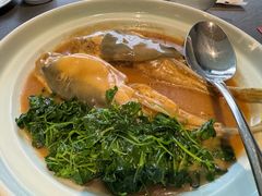 -沈灶河豚宴·河豚融合餐厅(汉中路店)