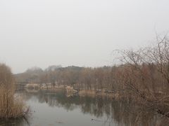 -紫霞湖公园