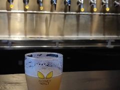 -蜜和麦精酿啤酒吧honey&malt(桐梓林店)