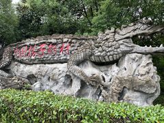 -中国扬子鳄村
