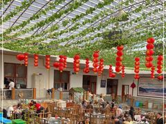 -燕北云山·农家菜·灶台鱼(密云溪翁庄店)