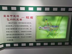 -上海昆虫博物馆