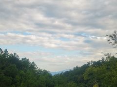 -广州白江湖森林公园