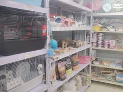 -钓仓鼠(洋桥北里小区店)