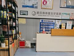 -伟伟宠物医院·瑞派猫友好医院·猫科(光谷店)