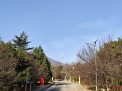 -北京鹫峰国家森林公园