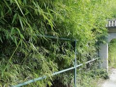 -丰台花园