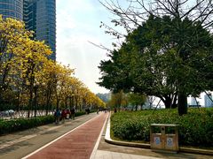 -洲头咀公园
