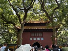 -普陀山风景名胜区-法雨禅寺