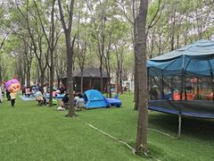 -草根堂农场