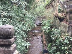-青城山