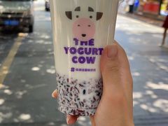 -一只酸奶牛(八一路店)