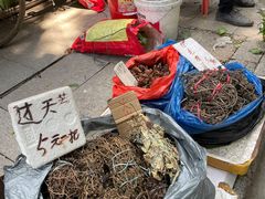 -黄埔古港