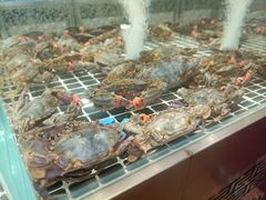 -喜来酌海鲜·饺子(和平一店)