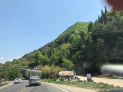 -王顺山国家森林公园