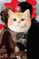 -ZHICOME·稚蔻婚纱礼服造型定制(西安龙首印象城店)