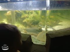-嘉兴海底世界