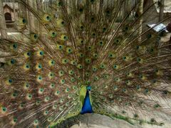 -昆山城市生态森林公园