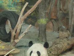 -南宁市动物园