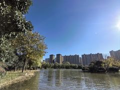 -木塔寺遗址生态公园