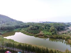 -美的鹭湖森林度假区