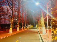 -辽东学院(南校区)